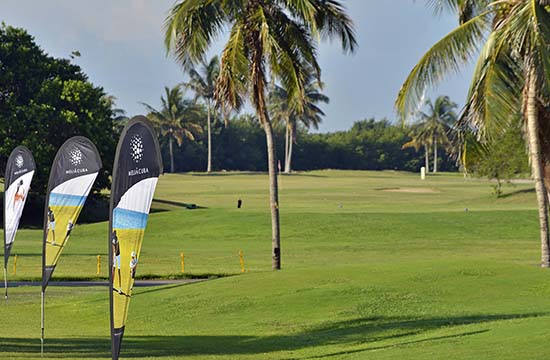 Hotel Meliá Las Américas - Campo de Golf